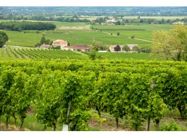 Monbazillac